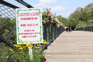 anderusenkouen 056.jpg